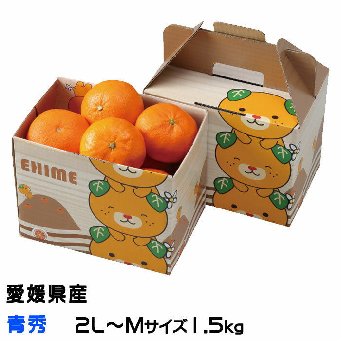楽天市場】せとか 愛媛(食品)の通販 楽天市場】せとか 愛媛(食品)の通販