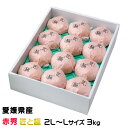 みかん せとか 赤秀 匠と極 2L〜Lサイズ 12〜15玉 3kg 愛媛県産 JAえひめ中央 中島選果場 ミカン 蜜柑 ギフト 贈り物 母の日