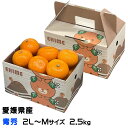 みかん せとか 青秀 2L〜Mサイズ 2.5kg みきゃん箱入り 愛媛県産 JAえひめ中央 中島選果場 ミカン 蜜柑 ギフト 贈り物 母の日