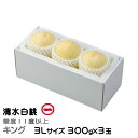 お中元 桃 清水白桃 キング 3Lサイズ 300g×3玉 一宮中央選果場 岡山県産 JAおかやま もも モモ