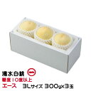 お中元 桃 清水白桃 エース 3Lサイズ 300g×3玉 一宮中央選果場 岡山県産 JAおかやま もも モモ