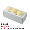 お中元 桃 清水白桃 エース 3Lサイズ 300g×3玉 岡山県産 ギフト もも モモ はくとう 白桃