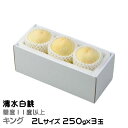お中元 桃 清水白桃 キング 2Lサイズ 250g×3玉 岡山県産 ギフト もも モモ はくとう 白桃