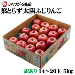 りんご 葉とらず太陽ふじりんご 訳あり 14〜20玉 5kg 青森県産 JAつがる弘前 糖度12度以上 送料無料 ギフト サンふじ 林檎 リンゴ
