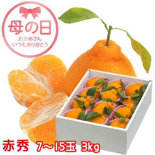 遅れてごめんね 母の日 2025 みかん 蒲郡樹熟デコポン 赤秀 7〜15玉 3kg 化粧箱入り 愛知県産 みかん ミカン 蜜柑 ギフト 遅れてごめんね 母の日 2025 みかん 蒲郡樹熟デコポン 赤秀 7〜15玉 3kg 化粧箱入り 愛知県産 みかん ミカン 蜜柑 ギフト