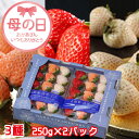 母の日 2025 いちご 奈良いちごラボ 3種 詰め合わせ(古都華・淡雪・パールホワイト)250g×2パック 奈良県産 苺 イチゴ ギフト プレゼント