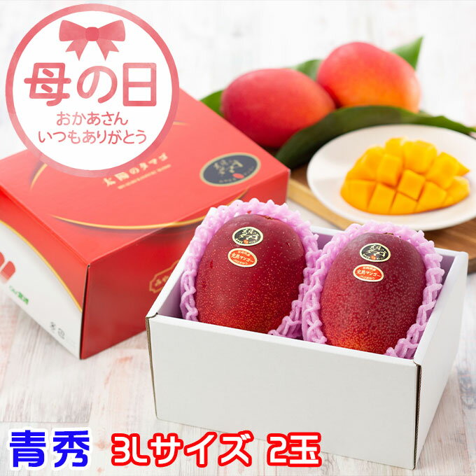 遅れてごめんね 母の日 2025 太陽のタマゴ 青秀 3L 450g以上×2玉 JA宮崎経済連 宮崎県産 完熟マンゴー 太陽のたまご ギフト プレゼント