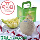 母の日 2025 クラウンメロン 白等級 1.2kg1玉 静岡県産 めろん ギフト プレゼント