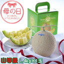 遅れてごめんね 母の日 2025 クラウンメロン 山等級 1.4kg 1玉 静岡県産 めろん ギフト プレゼント