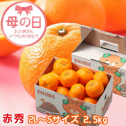 遅れてごめんね 母の日 2025 みかん カラマンダリン 赤秀 2L〜Sサイズ 2.5kg 完熟春みかん 愛媛県産 JAえひめ中央 中島選果場 贈り物 ギフト プレゼント 遅れてごめんね 母の日 2025 みかん カラマンダリン 赤秀 2L〜Sサイズ 2.5kg 完熟春みかん 愛媛県産 JAえひめ中央 中島選果場 贈り物 ギフト プレゼント