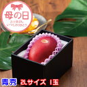 遅れてごめんね 母の日 2025 みやざき完熟マンゴー 青秀 2L 350g以上 1玉 JA宮崎経済連 宮崎県産 ギフト プレゼント