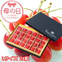 遅れてごめんね 母の日 2025 さくらんぼ 秀品 Lサイズ 24粒 チョコ箱 山形県産 ギフト お取り寄せグルメ