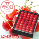 遅れてごめんね 母の日 2025 さくらんぼ 手詰め 秀品 Lサイズ 300g 化粧箱 山形県産 ギフト お取り寄せグルメ