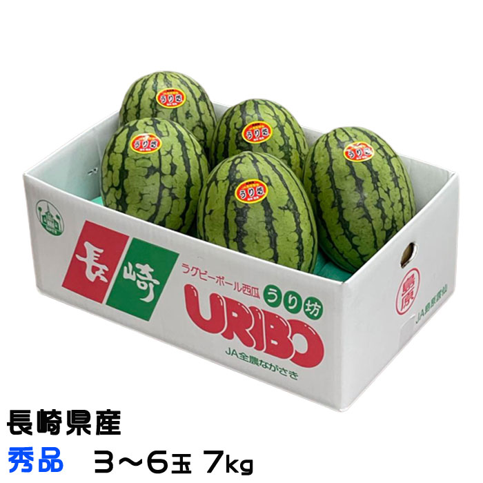すいか うり坊 優品 3〜6玉 7kg 長崎県産 小玉すいか スイカ 西瓜