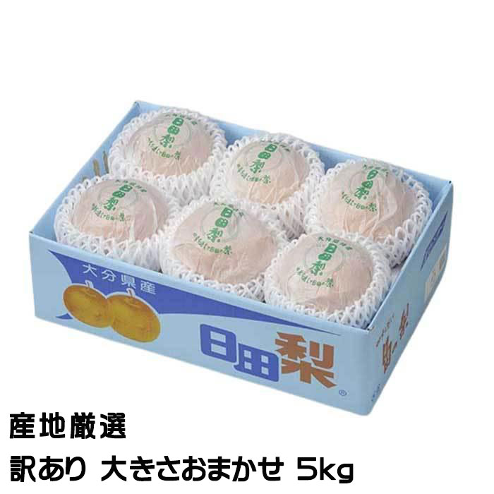    ϸ Τ  礭ޤ 5kg  ʥ ʤ ե