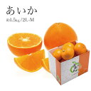 あいか 紅まどんなと同品種 JAえひめ中央 中島選果場 秀品...