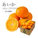 みかん あいか 紅まどんなと同品種 風のいたずら ちょっと訳...