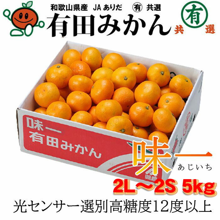 みかん プレミアム有田みかん 味一 2 L～2Sサイズ 5kg 糖度12度以上 和歌山県産 JAありだ ミカン 蜜柑 ギフト お歳暮