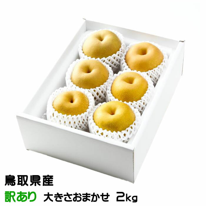 お歳暮 梨 秋甘泉 あきかんせん ちょっと訳あり 大きさおまかせ 2kg 鳥取県産 ナシ なし 新甘泉 姉妹品種