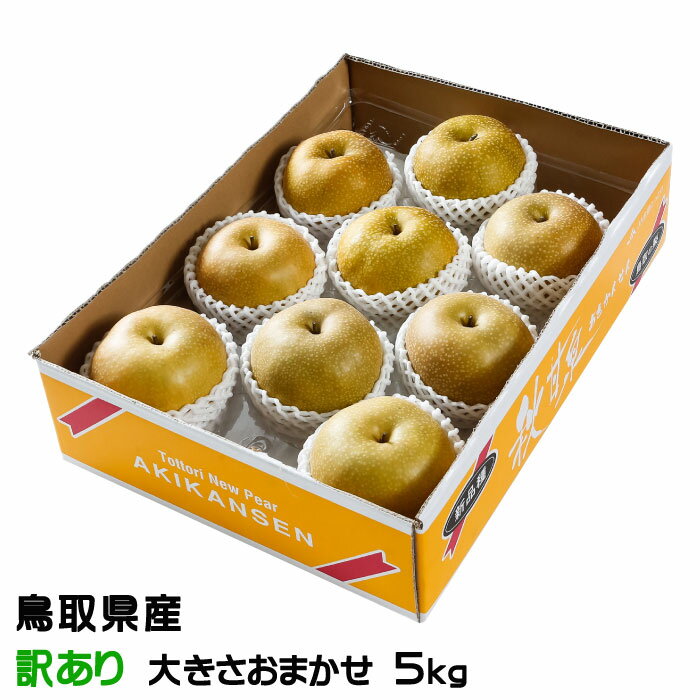 お歳暮 梨 秋甘泉 あきかんせん ちょっと訳あり 大きさおまかせ 5kg 鳥取県産 ナシ なし 新甘泉 姉妹品種