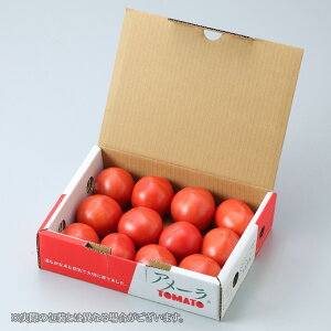 トマト アメーラ 高糖度フルーツトマト 秀品L〜2Sサイズ 1kg 静岡県産 長野県産 ギフト