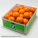 あまくさ 天草 紅まどんなの親品種 愛媛県 中島産 風のい...