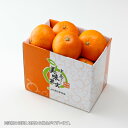 あまくさ (紅まどんなの親品種) JAえひめ中央 中島産 ...