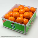 みかん あまくさ 紅まどんなの親品種 JAえひめ中央 中島産...