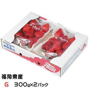 いちご あまおう グランデ G 300g×2パック 福岡県産 苺 イチゴ お年賀 ギフト お取り寄せ