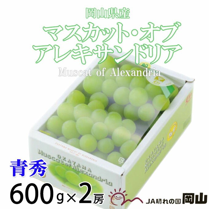 お歳暮 ぶどう マスカット オブ アレキサンドリア 青秀 600g×2房 岡山県産 JAおかやま 葡萄 ブドウ