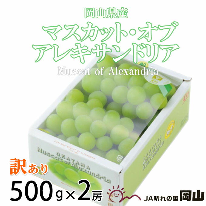 ぶどう マスカット オブ アレキサンドリア 風のいたずら ちょっと訳あり 500g×2房 岡山県産 JAおかやま 葡萄 ブドウのサムネイル