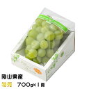 お中元 ぶどう マスカット オブ アレキサンドリア 特秀 700g×1房 岡山県産 JAおかやま 葡萄 ブドウ