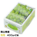 お中元 ぶどう マスカット オブ アレキサンドリア 特秀 400g×2房 岡山県産 JAおかやま 葡萄 ブドウ