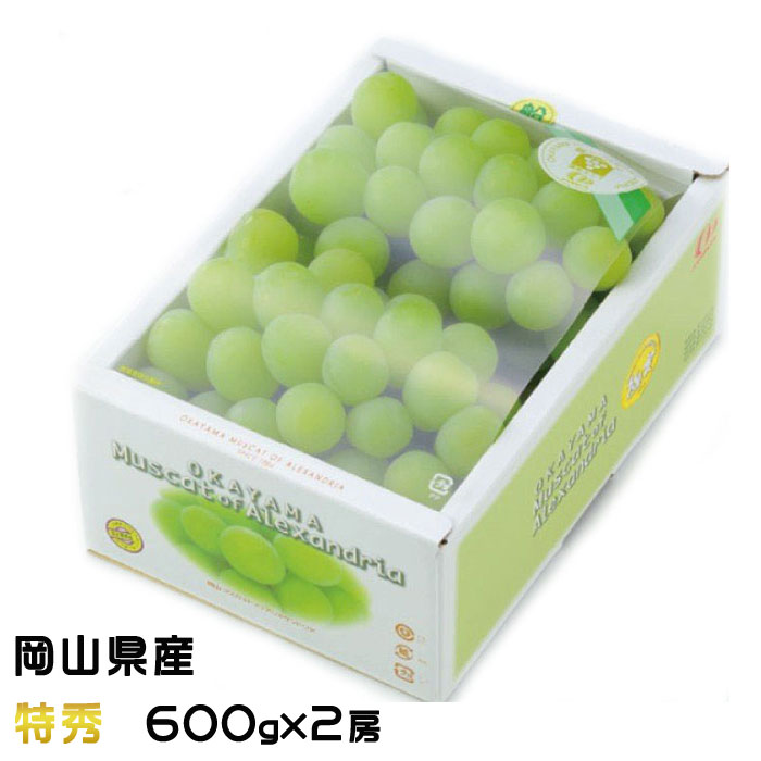 ぶどう マスカット オブ アレキサンドリア 特秀 600g×2房 岡山県産 JAおかやま 葡萄 ブドウ お中元 父の日のサムネイル