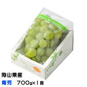 お中元 ぶどう マスカット オブ アレキサンドリア 青秀 700g×1房 岡山県産 JAおかやま 葡萄 ブドウ