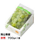 お中元 ぶどう マスカット オブ アレキサンドリア 赤秀 700g×1房 岡山県産 JAおかやま 葡萄 ブドウ