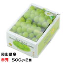 ぶどう マスカット オブ アレキサンドリア 赤秀 500g×2房 岡山県産 JAおかやま 葡萄 ブドウ