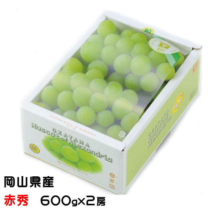 ぶどう マスカット オブ アレキサンドリア 赤秀 600g×2房 岡山県産 JAおかやま 葡萄 ブドウ 父の日