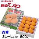 びわ 長崎びわ 青秀 3L〜Lサイズ 8〜12玉 500g 長崎県産 お取り寄せグルメ ギフト お取り寄せ