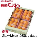 びわ 長崎びわ 赤秀 2L〜Mサイズ 1パック5〜8玉 250g×4 長崎県産 お取り寄せグルメ ギフト お取り寄せ