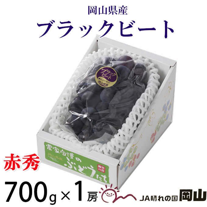 ぶどう お中元 ぶどう ブラックビート 赤秀 700g 1房 岡山県産 JAおかやま ギフト 葡萄 ブドウ