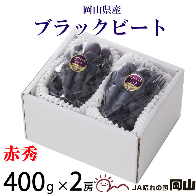 ぶどう ブラックビート 赤秀 400g×2房 岡山県産 JAおかやま ギフト 葡萄 ブドウ