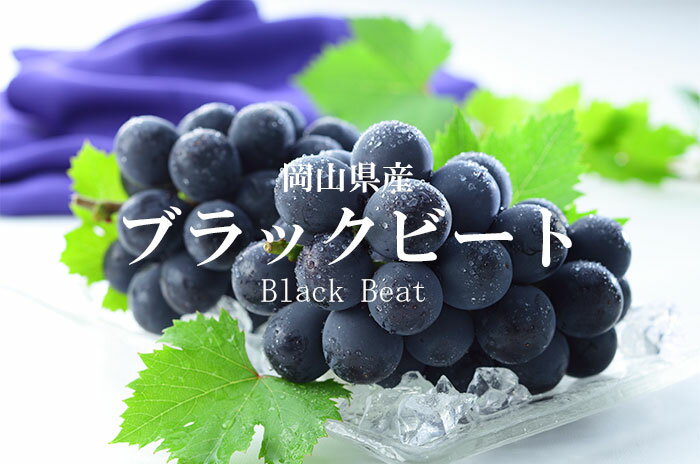 ぶどう ブラックビート 赤秀 500g×2房 岡山県産 JAおかやま ギフト 葡萄 ブドウ
