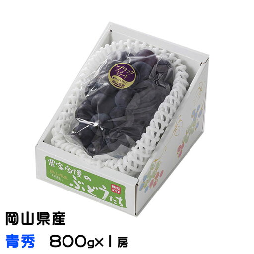 ぶどう ブラックビート 青秀 800g 1房 岡山県産 JAおかやま ギフト 葡萄 ブドウ ぶどう ブラックビート 青秀 800g 1房 岡山県産 JAおかやま ギフト 葡萄 ブドウ