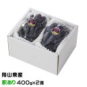 ぶどう ブラックビート 風のいたずら ちょっと訳あり 400g×2房 岡山県産 JAおかやま ギフト 葡萄 ブドウ