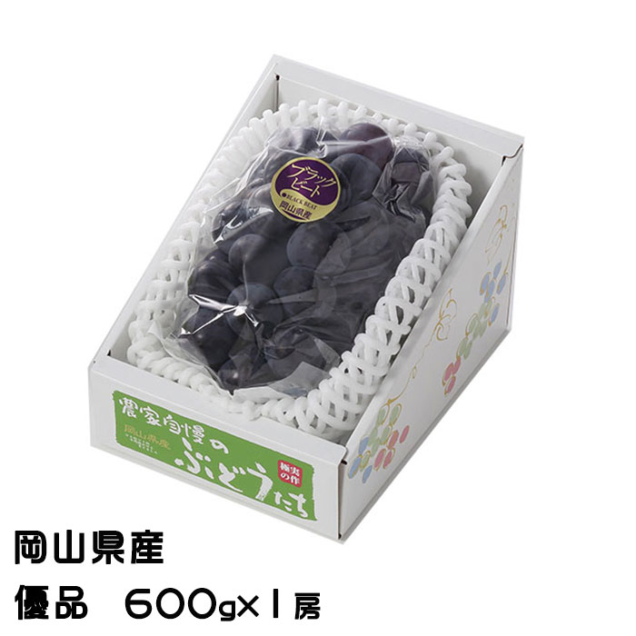 ぶどう ブラックビート 優品 600g 1房 岡山県産 JAおかやま ギフト 葡萄 ブドウ