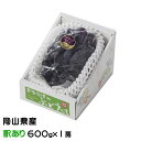 ぶどう ブラックビート 風のいたずら ちょっと訳あり 600g×1房 岡山県産 JAおかやま ギフト 葡萄 ブドウ