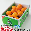 紅まどんな 愛媛県産 JAえひめ中央 中島選果場 青秀 4L...