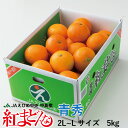 紅まどんな 愛媛県産 JAえひめ中央 中島選果場 青秀 2L...