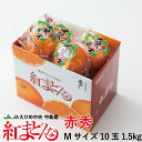 みかん 紅まどんな 愛媛県産 JAえひめ中央 中島選果場 赤秀 Mサイズ 10玉 約1.5kg お歳暮 ギフト 送料無料 蜜柑 みかん ミカン みかん 紅まどんな 愛媛県産 JAえひめ中央 中島選果場 赤秀 Mサイズ 10玉 約1.5kg お歳暮 ギフト 送料無料 蜜柑 みかん ミカン